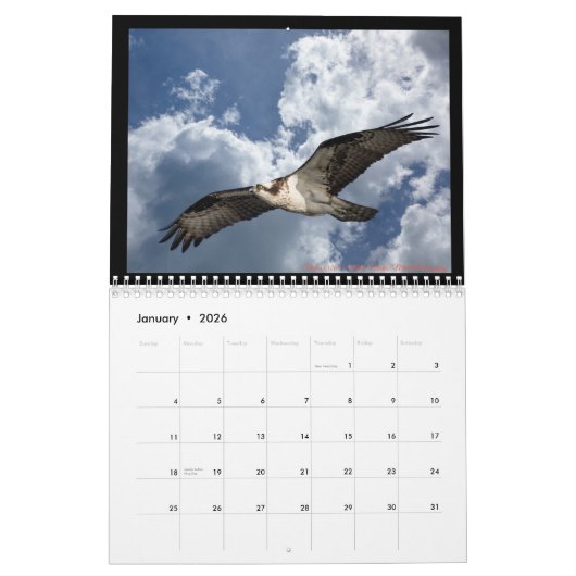 vogels kalender (Jan 2026)