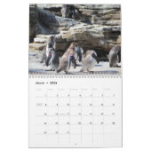 vogels kalender (Mar 2026)