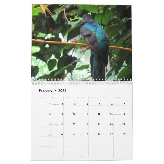 vogels kalender (Feb 2026)