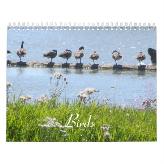 vogels kalender (Hoes)