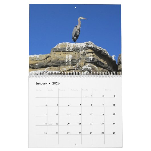 vogels kalender (Jan 2026)
