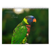 vogels kalender (Hoes)