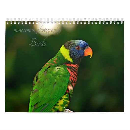 vogels kalender (Hoes)