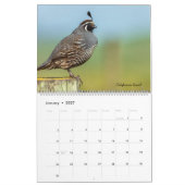 Vogels Kalender (Jan 2027)