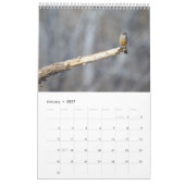 vogels kalender (Jan 2027)