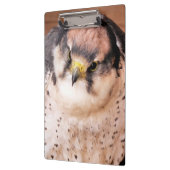 VOGELS KLEMBORD (Links)