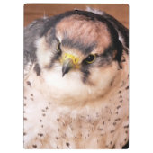 VOGELS KLEMBORD (Achterkant)