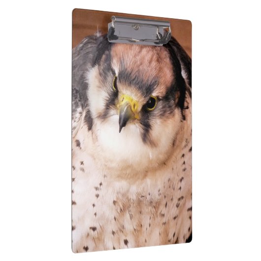 VOGELS KLEMBORD (Rechts)