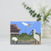 Vogels -- Lepelaars en Reigers Briefkaart (Staand voorkant)