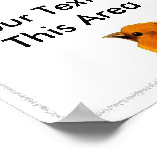 Vogels Lijst 2, Jouw tekst in dit gebied Poster (Hoek)