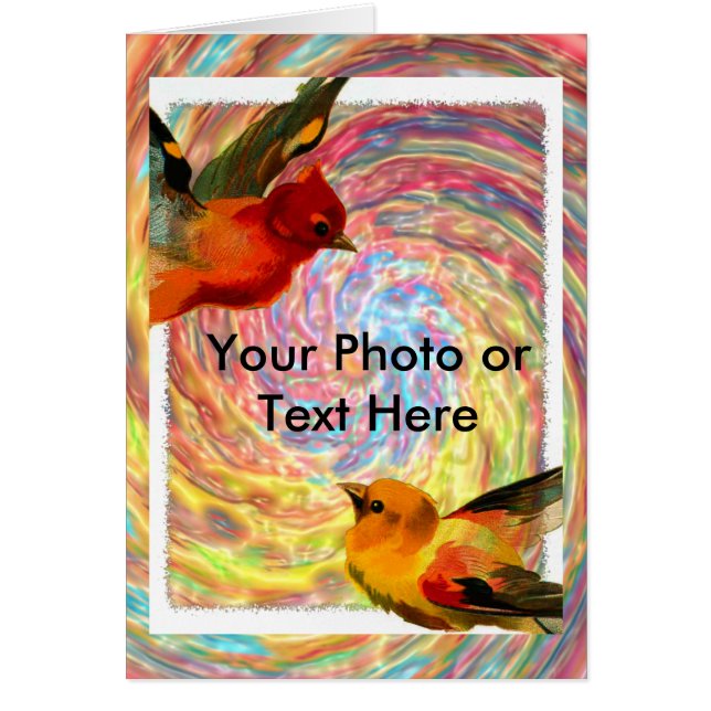 Vogels Lijst 2, uw foto of tekst hier (Voorkant)