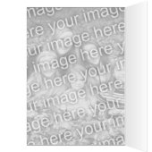 Vogels Lijst, je eigen foto's en tekst (Binnen (Links))