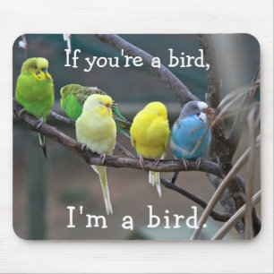Vogels Love Quote Parakeets Budgies Foto Muismat