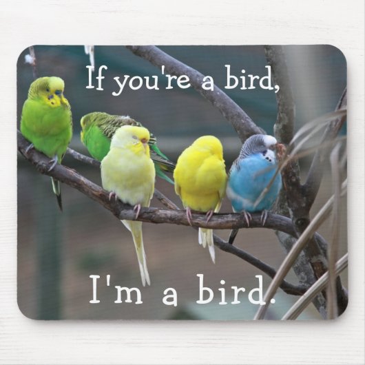 Vogels Love Quote Parakeets Budgies Foto Muismat (Voorkant)