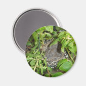 vogels magneet (Voorkant / Achterkant)