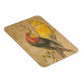 vogels magneet (Rechterzijde)