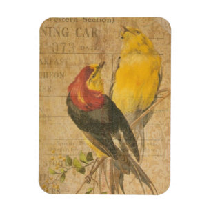  vogels magneet