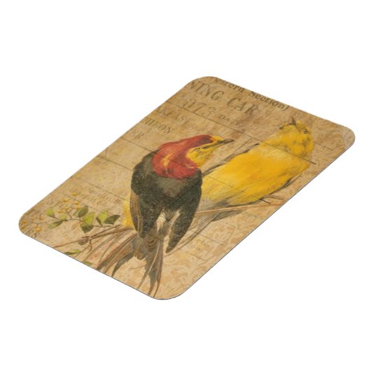 vogels magneet (Linkerzijde)