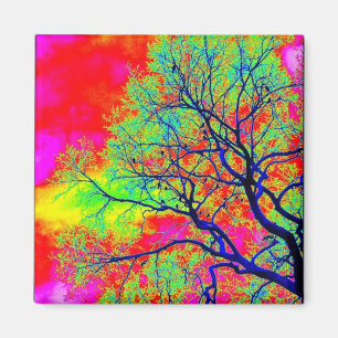 Vogels Magnet