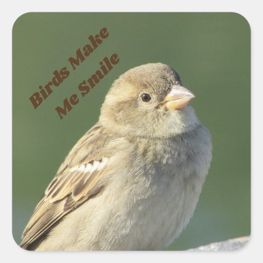 Vogels maken me een glimlach bruine rugzak vierkante sticker (Voorkant)