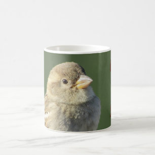 Vogels maken me een glimlachen thuis Natuur Koffiemok