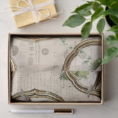 vogels met kronen in gouden Lijsten ontkoppelen Tissuepapier (Geschenk)