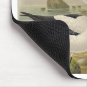 vogels muismat (Hoek)