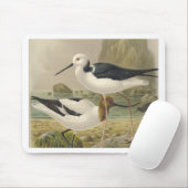 vogels muismat (Met muis)