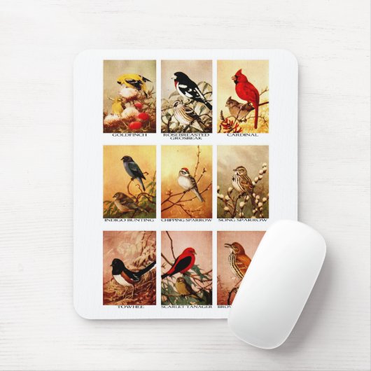 vogels muismat (Met muis)