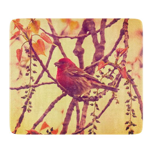 Vogels Natuur Vogel Paarse Vink Snijplank (Voorkant)