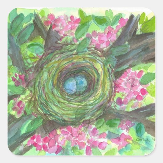 Vogels Nest Robins Eitjes Waterverf Bloesems Vierkante Sticker (Voorkant)
