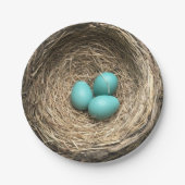 Vogels nesten met blauwe eieren papieren bordje (Voorkant)