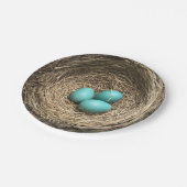 Vogels nesten met blauwe eieren papieren bordje (Gekanteld)