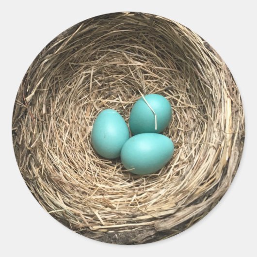 Vogels Nesten met Blauwe Eieren Ronde Sticker (Voorkant)