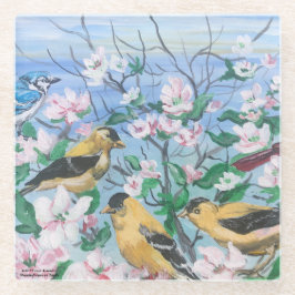 Vogels Nieuw Collectie Originele Handgeschilderde Glazen Onderzetter