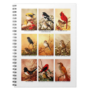vogels notitieboek