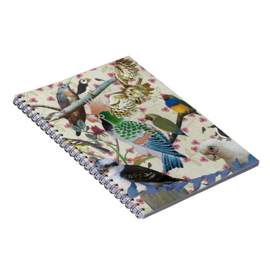  vogels notitieboek (Rechterzijde)