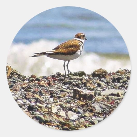 Vogels Oceanen stranden Ronde Sticker (Voorkant)