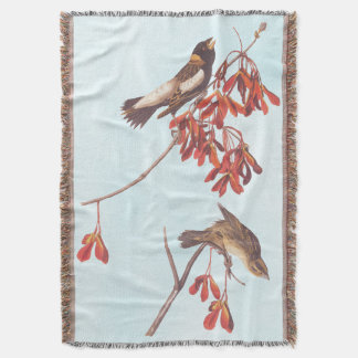 Vogels of Bobolinkvogels van de rijstbundel van Au Deken