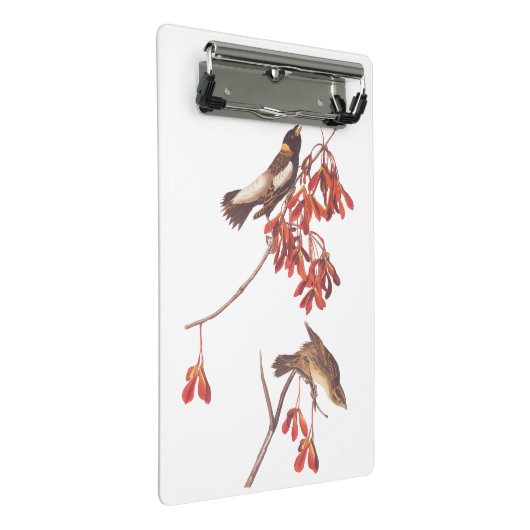 Vogels of Bobolinkvogels van de rijstbundel van Au Mini Klembord (Schuin)