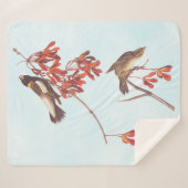 Vogels of Bobolinkvogels van de rijstbundel van Au Sherpa Deken (Voorkant (horizontaal))