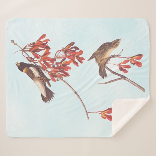 Vogels of Bobolinkvogels van de rijstbundel van Au Sherpa Deken (Voorkant (horizontaal))