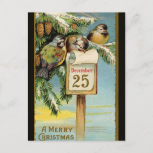 vogels op 25 december briefkaart