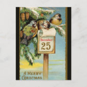  vogels op 25 december briefkaart (Voorkant)