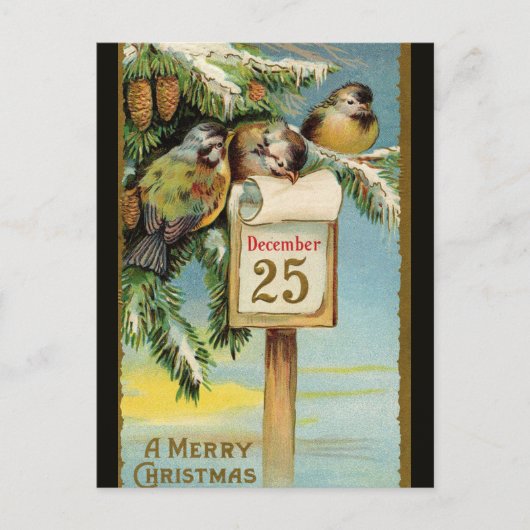  vogels op 25 december briefkaart (Voorkant)