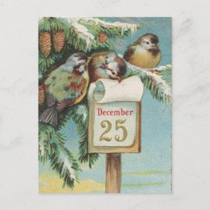 Vogels op 25 december feestdagenkaart