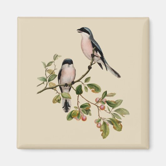 vogels op beige magneet (Voorkant)