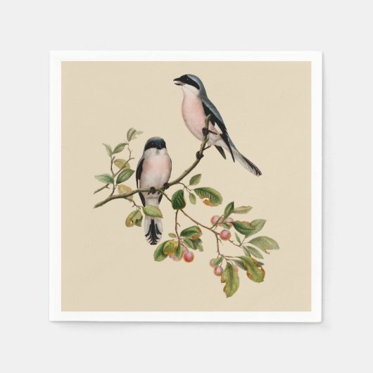 vogels op beige servet (Voorkant)