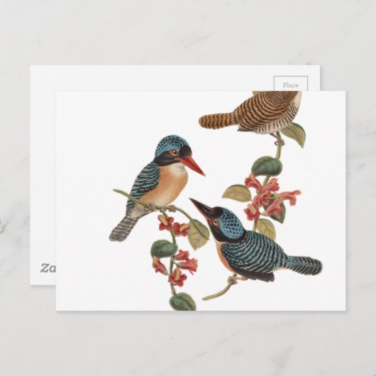  vogels op bijkantoor briefkaart (Voorkant / Achterkant)