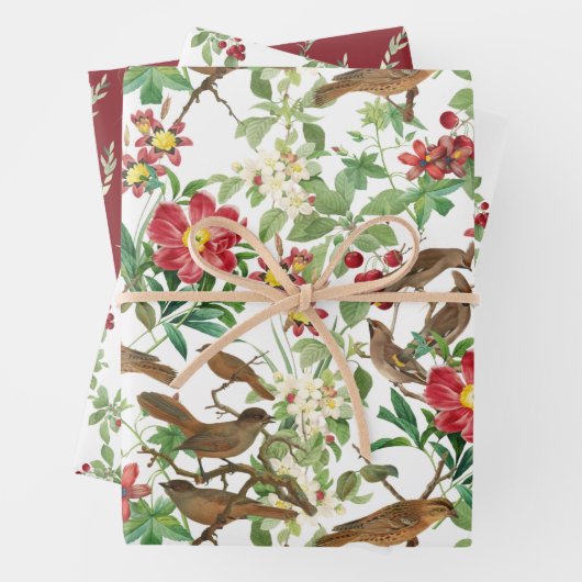 Vogels op bijkantoren, bessen en bladeren inpakpapier vel (In situ)